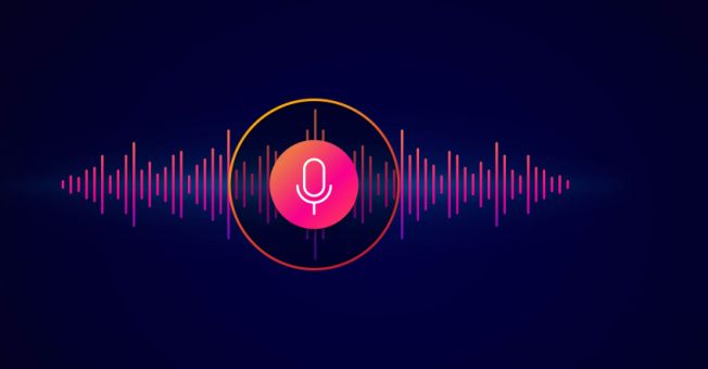 Replay - Webcast audio - Résultats Annuels 2024