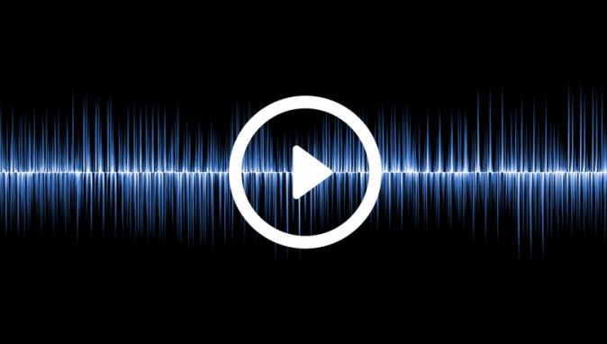 Webcast AGM 2020: 30 June 2020 (2.30 pm)