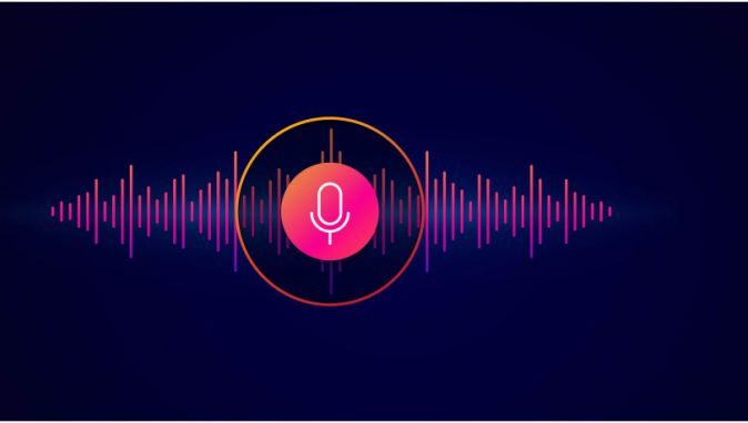 Audio Webcast - Résultats Annuels 2020